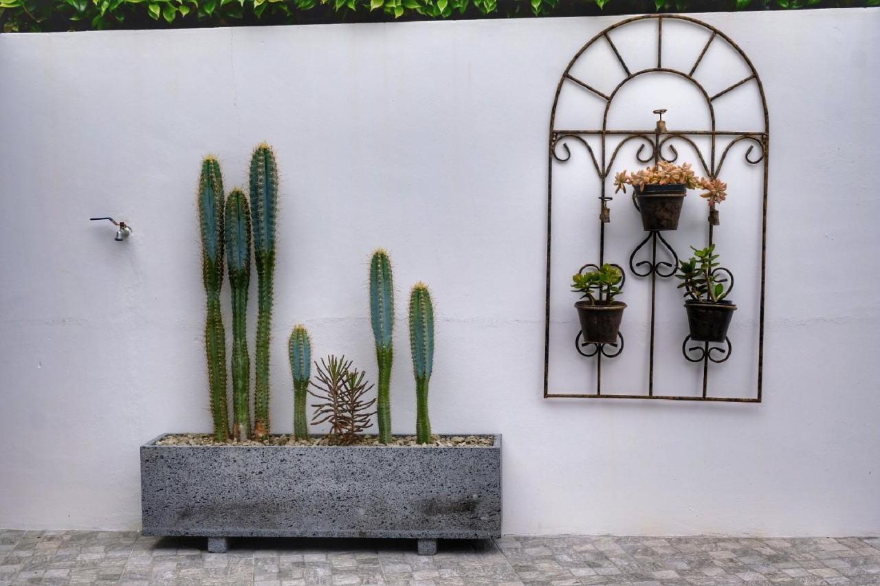 شقة Casa Pacheco فورناس المظهر الخارجي الصورة